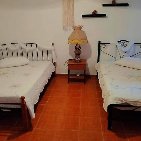 Villa Konstantina Nea Skioni Dış mekan fotoğraf