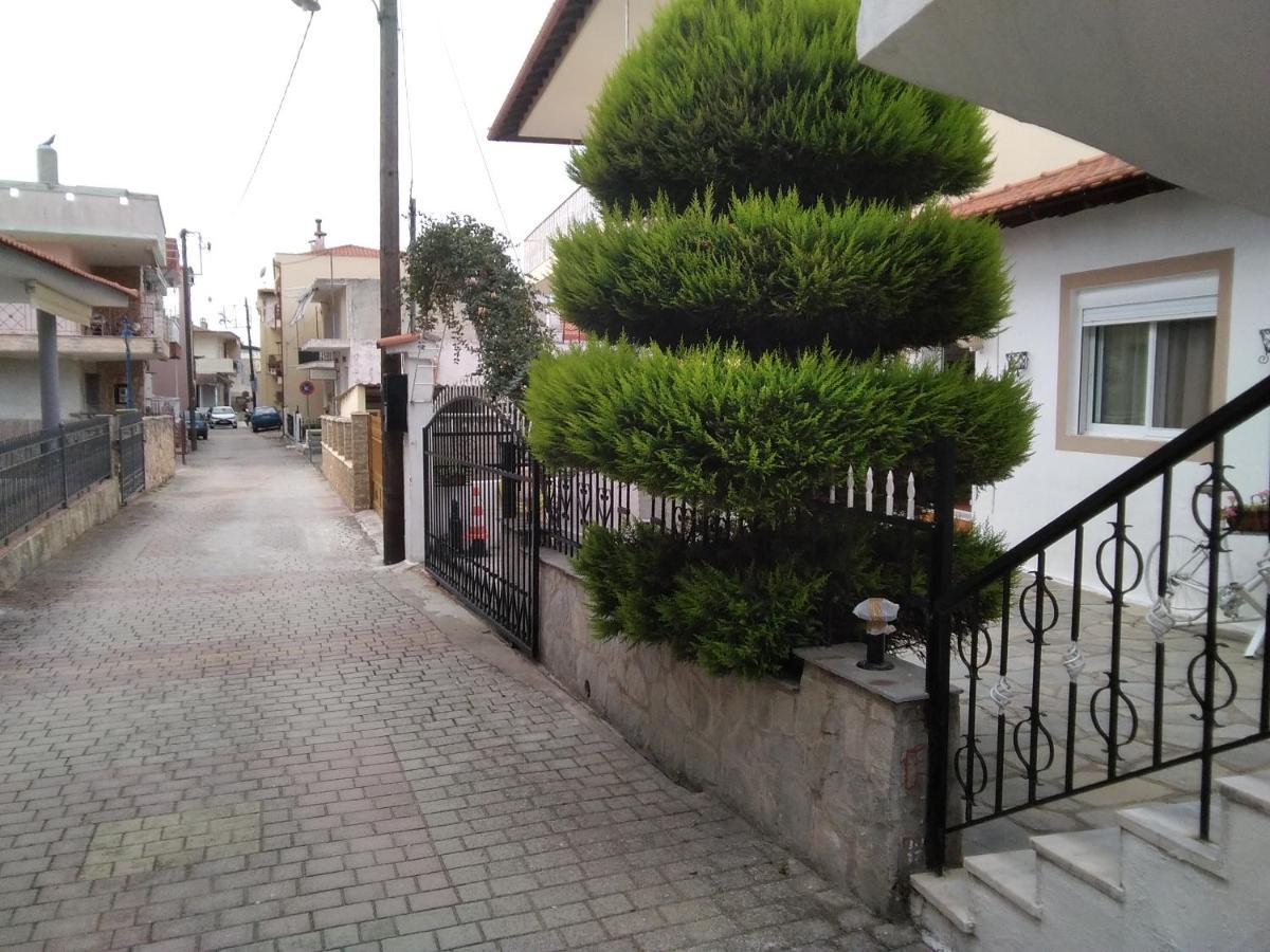 Villa Konstantina Nea Skioni Dış mekan fotoğraf