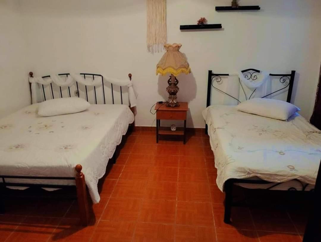 Villa Konstantina Nea Skioni Dış mekan fotoğraf